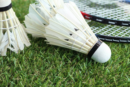 托纳利式的 托纳利式的